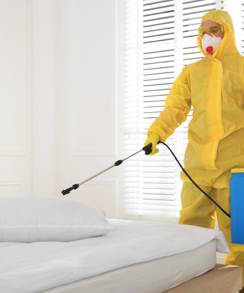 Professional Pest Control Team in Lonsdale